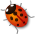 moon gardening lady bug